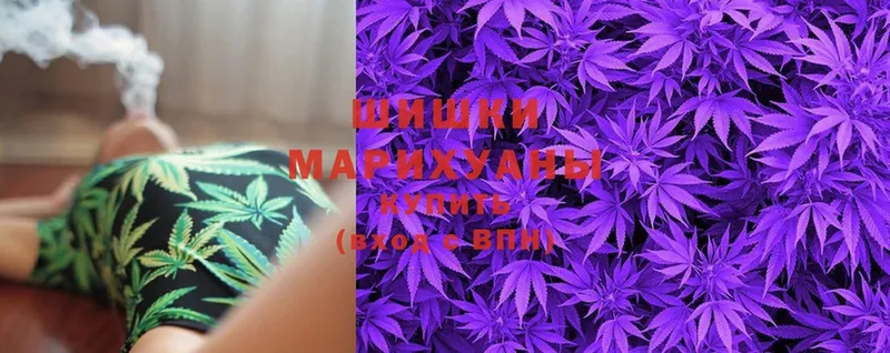 как найти закладки  Волгореченск  Бошки марихуана SATIVA & INDICA 